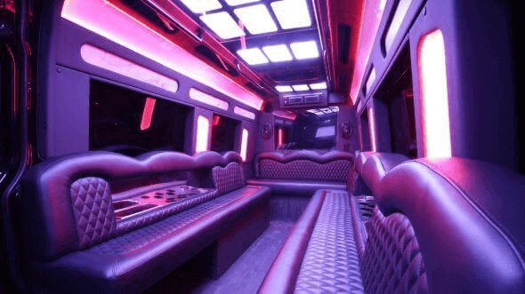 milwaukee 18 passenger party bus rental