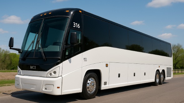 milwaukee birthday sweet 16 party bus rentals